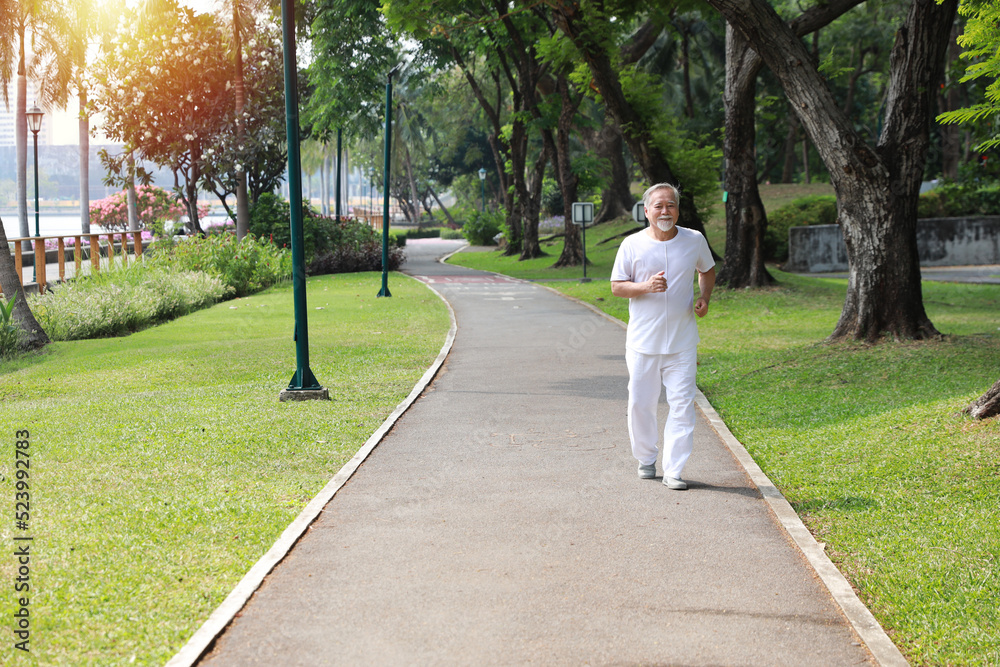 Fototapeta premium Happy and smiling asian senior man doing exercise and jogging or walking with relaxation for healthy in park outdoor after retirement during summer time. Health care elderly outdoor lifestyle concept.