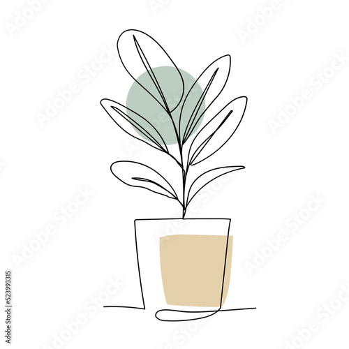 Plant in pot line art. Contour drawing. Minimalism art.