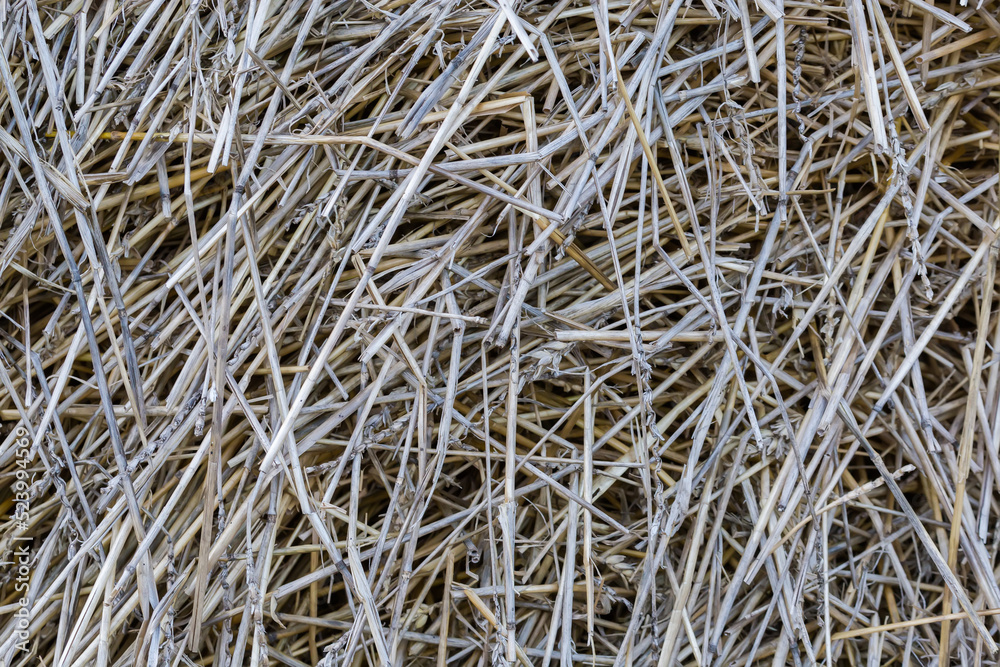 Background of the old darkened wheat straw on a heap Background of the old darkened wheat straw on a heap