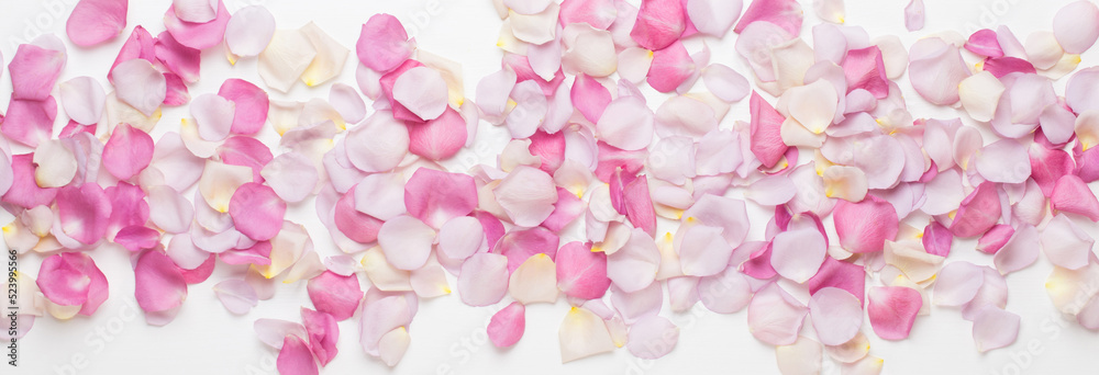 Pink rose flowers petals on white background. Flat lay, top view, copy space. Pink rose flowers petals on white background. Flat lay, top view, copy space.
