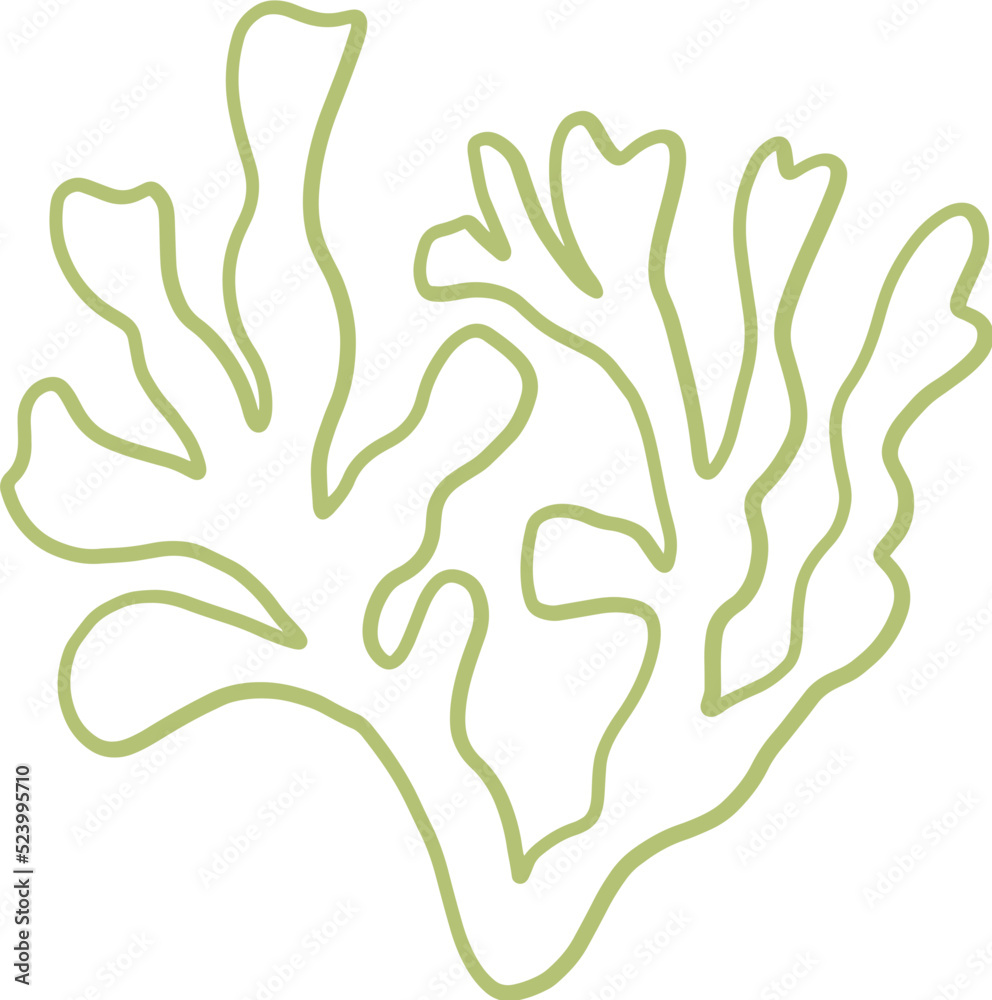 seaweed line art drawing seaweed line art drawing