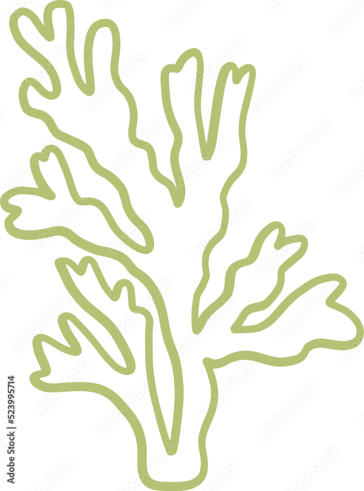 Obraz premium seaweed line art drawing