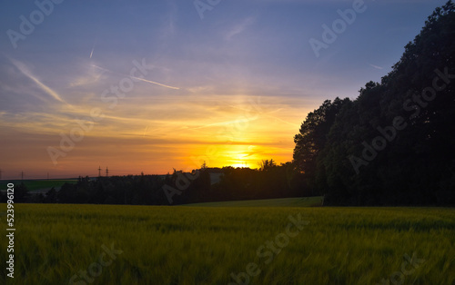 sunset over the field