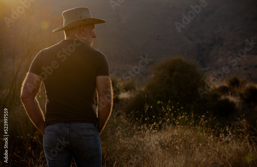 Rear view of adult man in cowboy hat standing in field during sunset