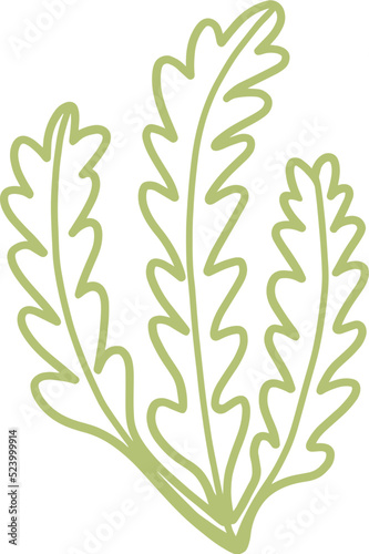 seaweed line art drawing