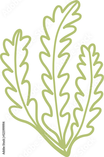 seaweed line art drawing