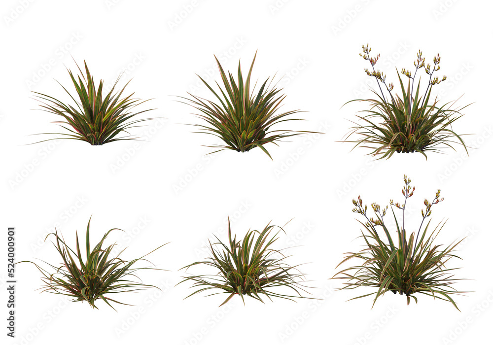 Shrubs and grass on a transparent background

