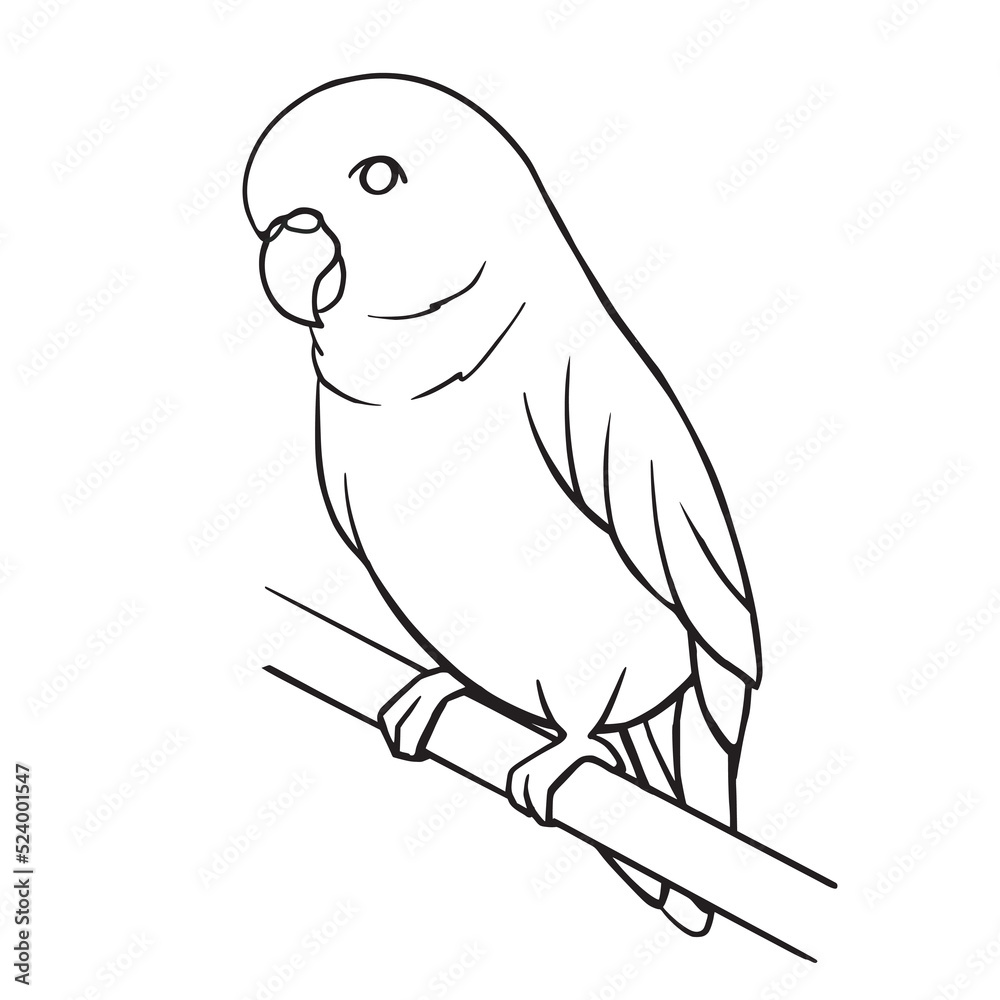 Coloring page for book with cute cartoon budgie. Educational kids