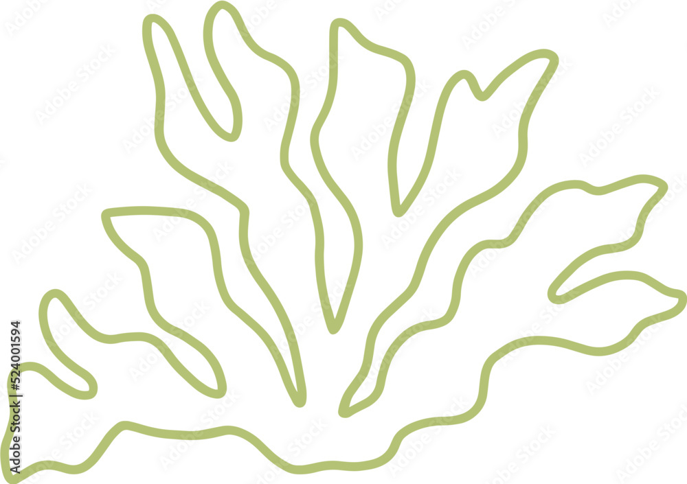 seaweed line art drawing seaweed line art drawing