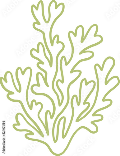 seaweed line art drawing