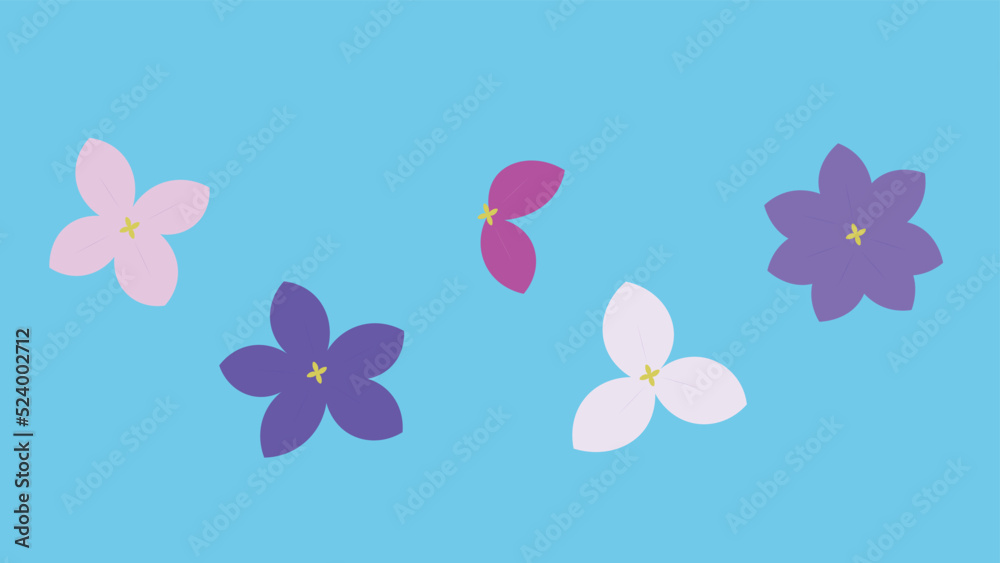 Flowers and petals, illustration, vector