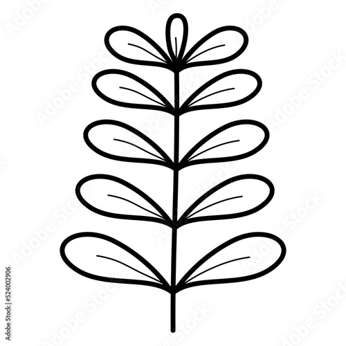 handdrawn doodle leaves png.