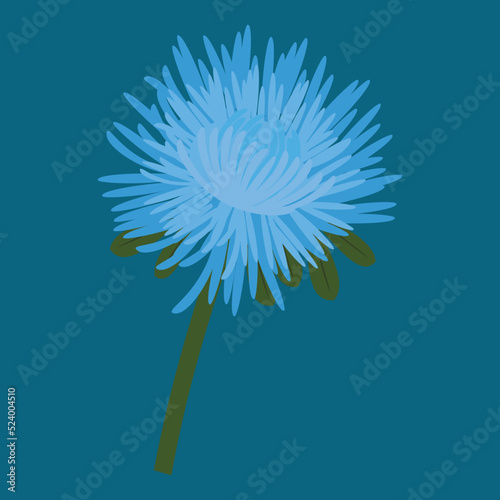 Blue aster, flower, illustration, vector