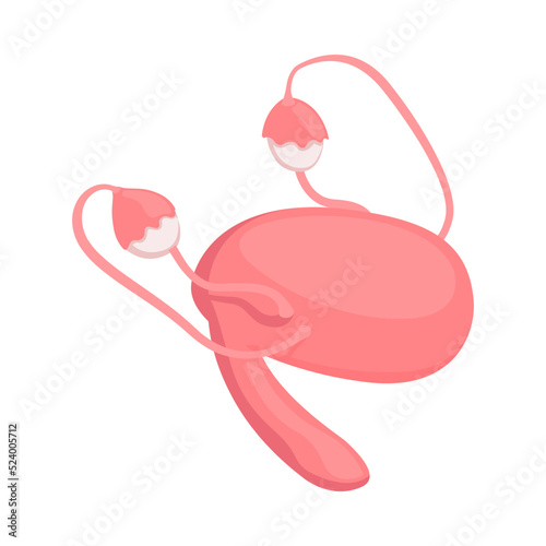 Female Reproductive System