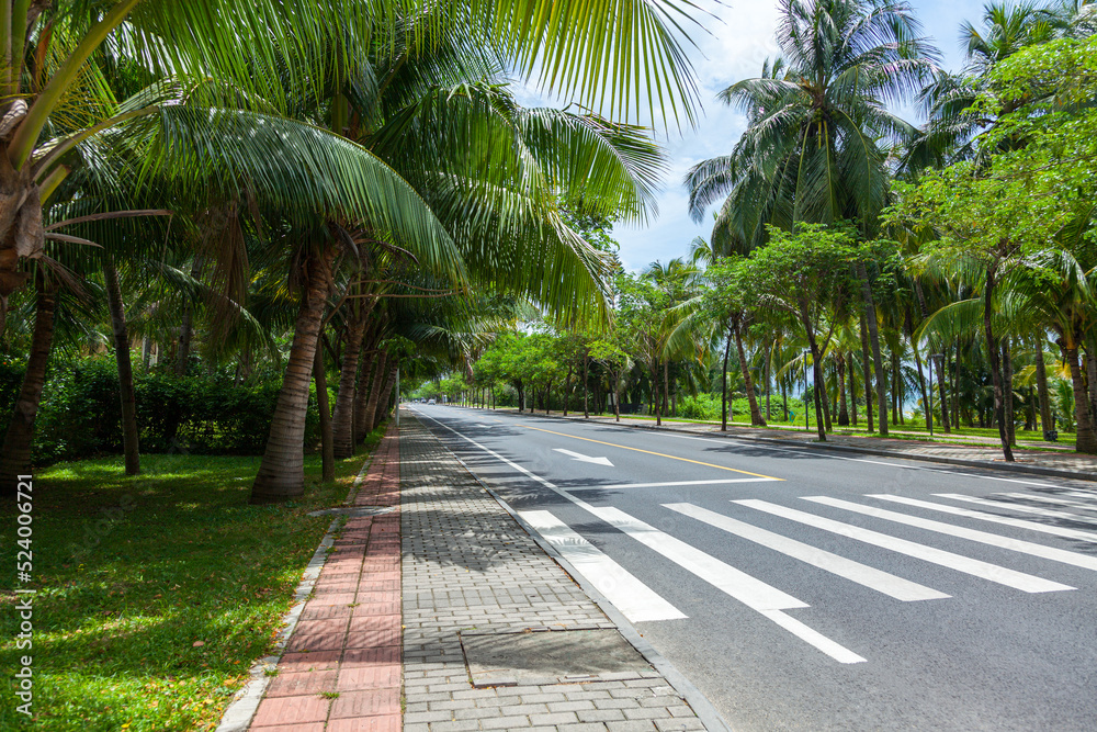 A magnificent road with a pedestrian crossing among luxurious palm trees