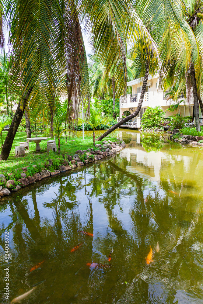 Carp pond on the territory of a five-star hotel framed by green lawns and beautiful palm trees