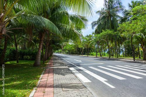 Obraz na płótnie A magnificent road with a pedestrian crossing among luxurious palm trees w salonie