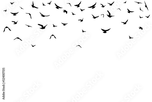 Flying birds. Decoration element from scattered silhouettes.