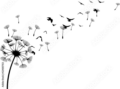 Dandelion with flying birds and seeds. Vector isolated decoration element from scattered silhouettes. Conceptual illustration of freedom and serenity.
