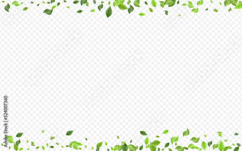 Forest Leaf Nature Vector Transparent Background