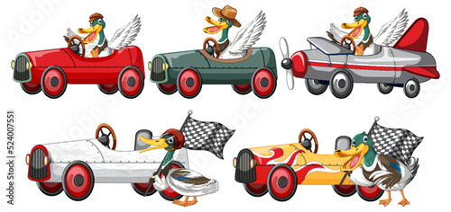Soapbox derby race concept with ducks