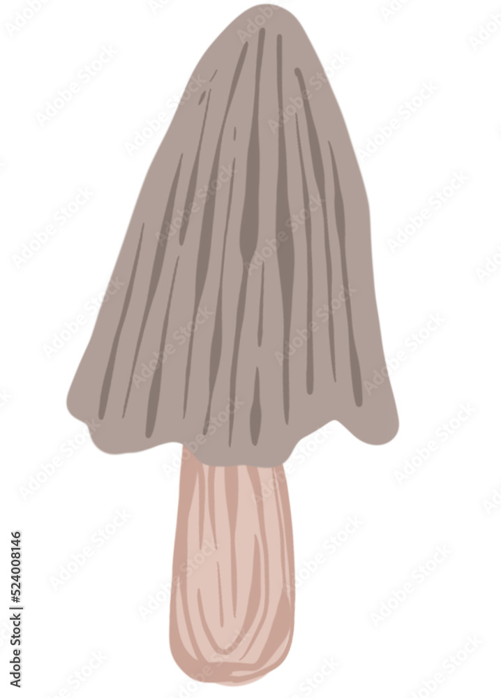 nature illustration