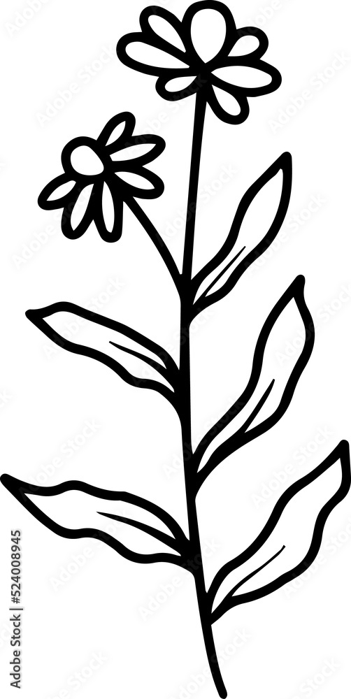 Line Art Flower Illustration
