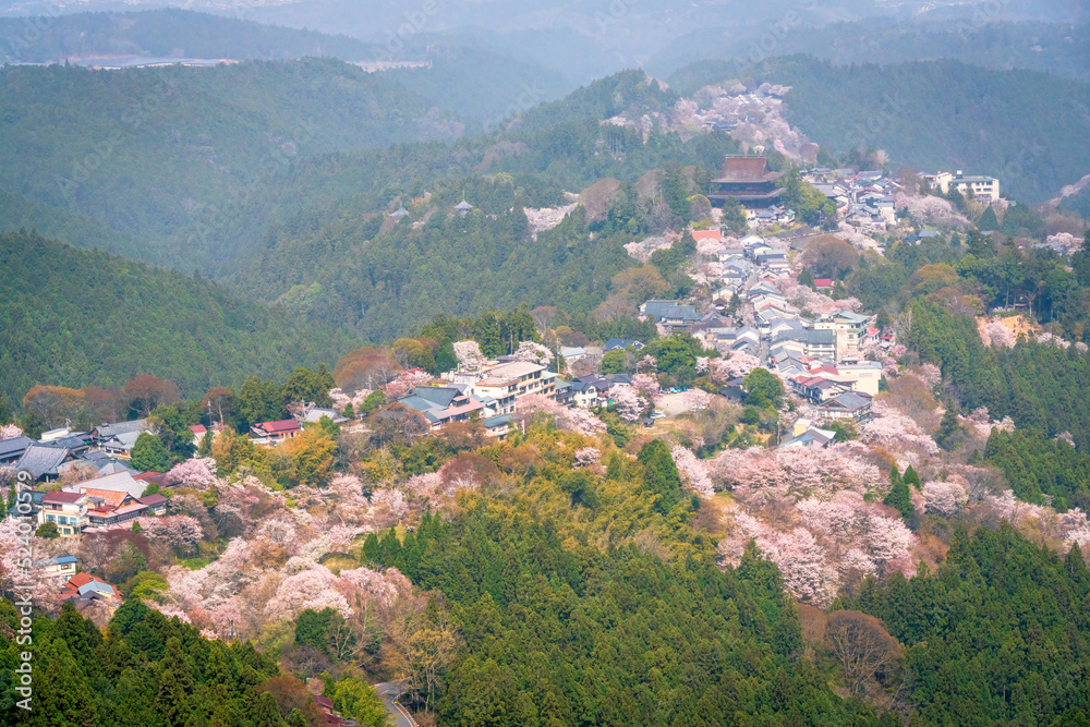A panoramic view from the top of Mount Yoshino.