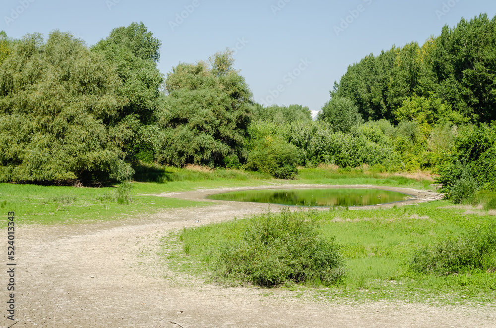 A dried-up pond near the Danube River. A dried-up pond near the Danube River.