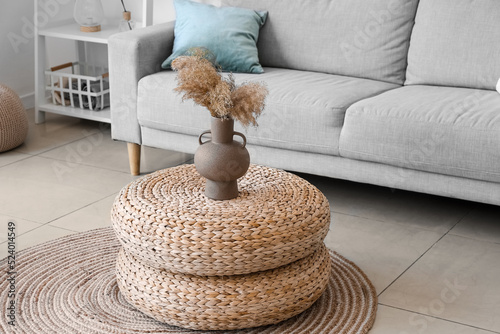 Vase with pampas grass on r...