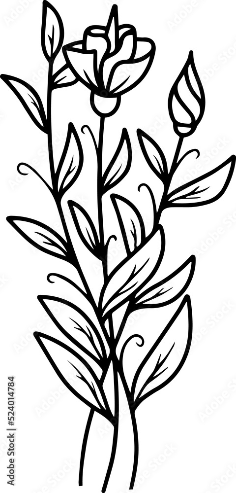 Floral Element Line Art Illustration
Floral Element Line Art Illustration