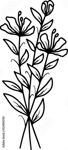 Floral Element Line Art Illustration 