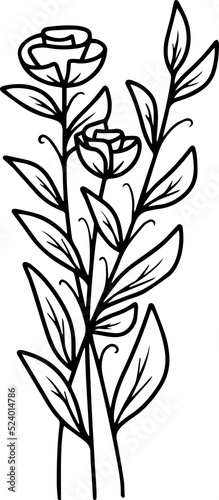 Floral Element Line Art Illustration 