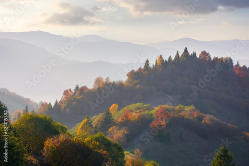 forested rolling hills in evening light. mountain ridge in the distance. beautiful landscape in autumn