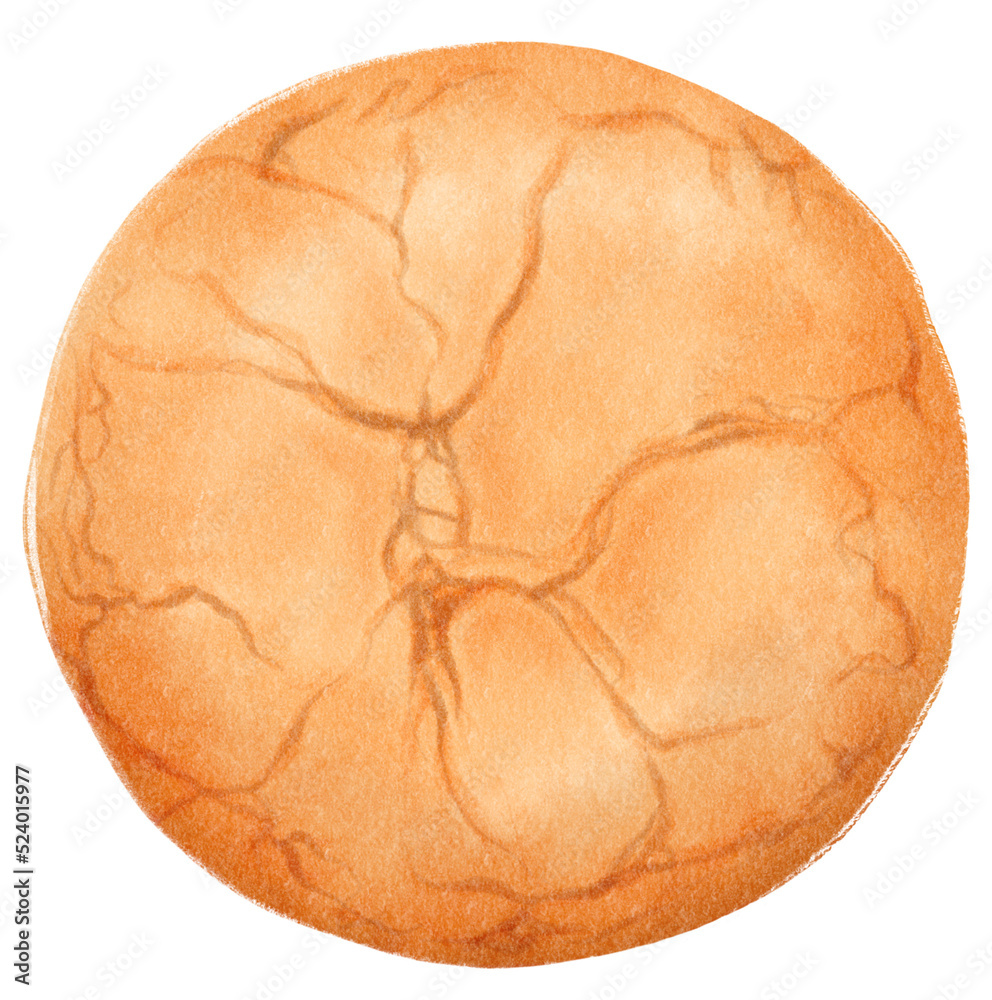 Cookie watercolor hand painted Cookie watercolor hand painted