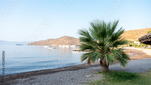 beach background at sunrise  front view