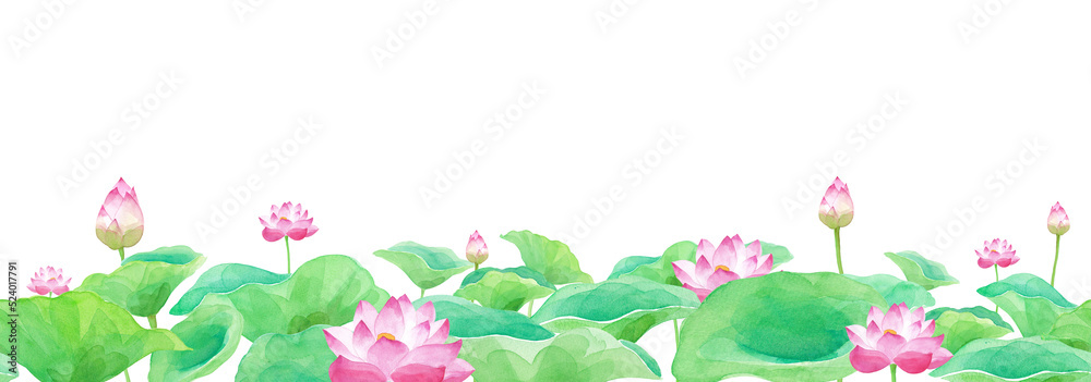 蓮の花、水平方向のシームレスパターン。 水彩イラスト（透過背景） ilustração do Stock | Adobe Stock