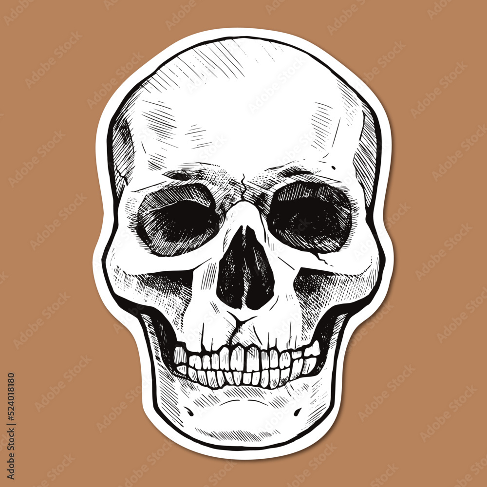 Fototapeta premium Sticker with hand drawn human skull. Vector graphic illustration.