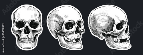 Set of stickers with hand drawn human skulls. Vector graphic illustration.