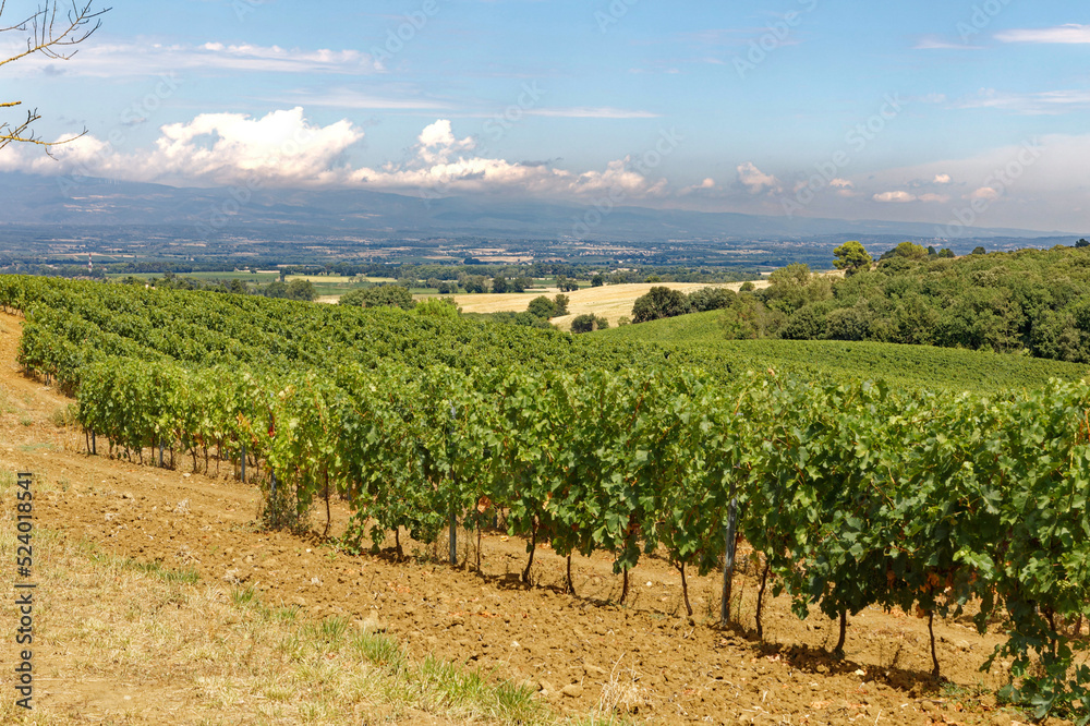 Vue dégagée sur la vallée de Carcassonne depuis la campagne du petit village d'Arzens pays des vignes