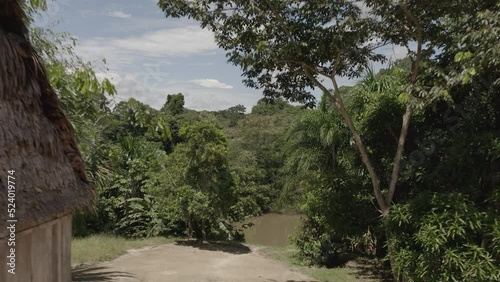 4k Aerial shot for amazon river and the rain forest in brazil rainforest.
shot on MAVIC 2 PRO hasselblad rendered prores 422HQ D-log