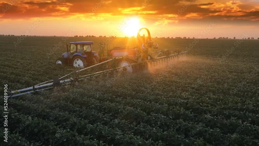 Aerial view of crop sprayer spraying pesticide on a soybean field at sunset, Drone shot flying over agricultural soybean field, tractor and crop sprayer protection plants to increase crop yield
