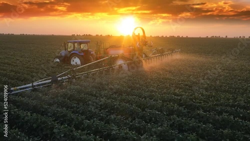 Aerial view of crop sprayer spraying pesticide on a soybean field at sunset, Drone shot flying over agricultural soybean field, tractor and crop sprayer protection plants to increase crop yield