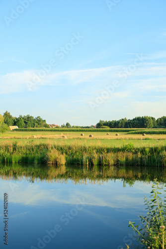 rural landscape with lake