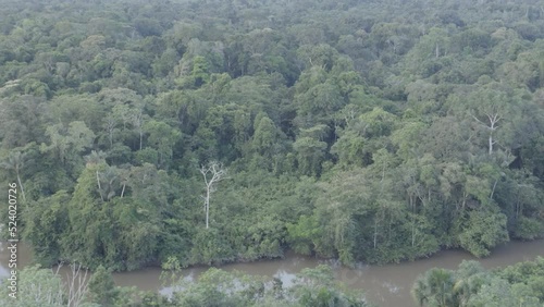 4k Aerial shot for amazon river and the rain forest in brazil rainforest.
shot on MAVIC 2 PRO hasselblad rendered prores 422HQ D-log