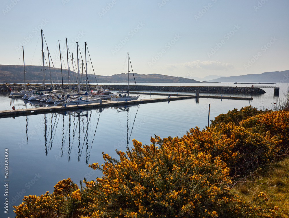 A bright and calm March morning, sailing yachts and other craft moored in the Portavadie Marina on Loch Fyne on the west coast of Scotland