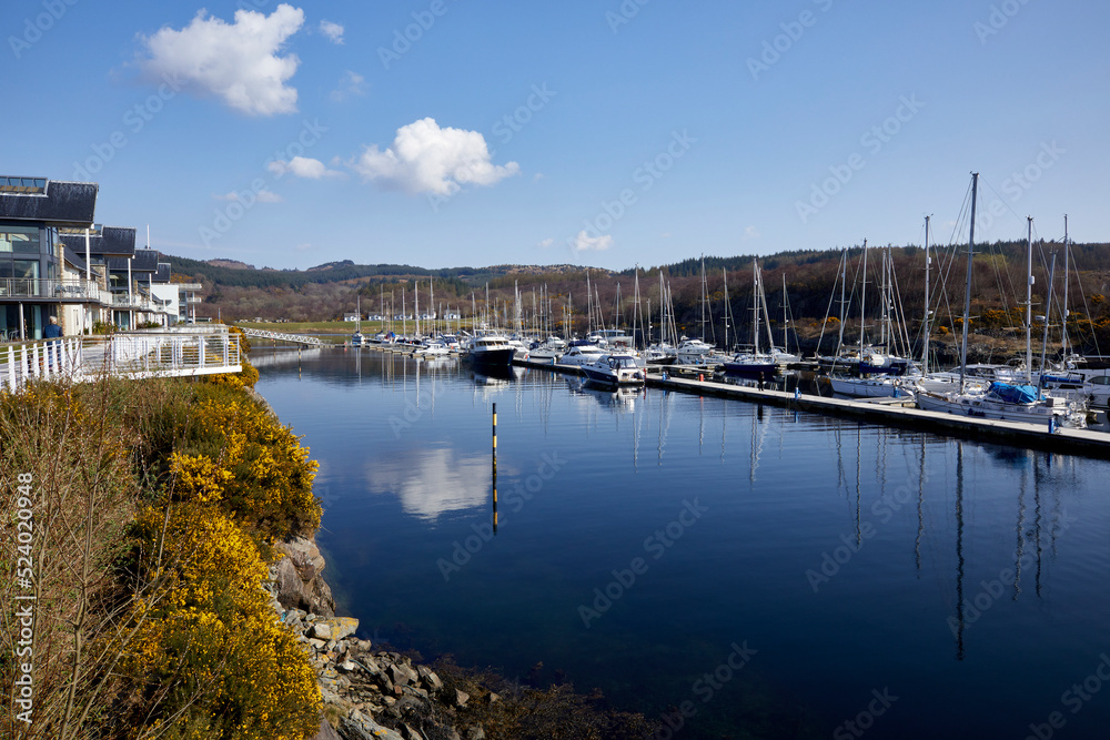 A bright and calm March morning, sailing yachts and other craft moored in the Portavadie Marina on Loch Fyne on the west coast of Scotland