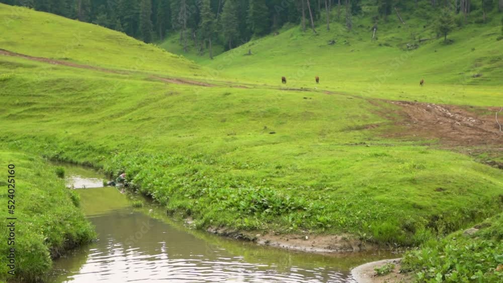 Landscape scenic of hills forests in beautiful kashmir. Dal lake, pahalgam, Gulmarg, Baramulla, kupwara add beauty to Kashmir. Landscape scenic of hills forests in beautiful kashmir. Dal lake, pahalgam, Gulmarg, Baramulla, kupwara add beauty to Kashmir.