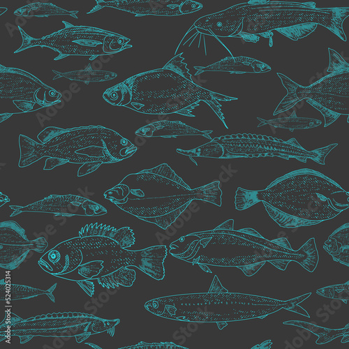 Fish vector seafood background, vintage sketch of fish seamless pattern.