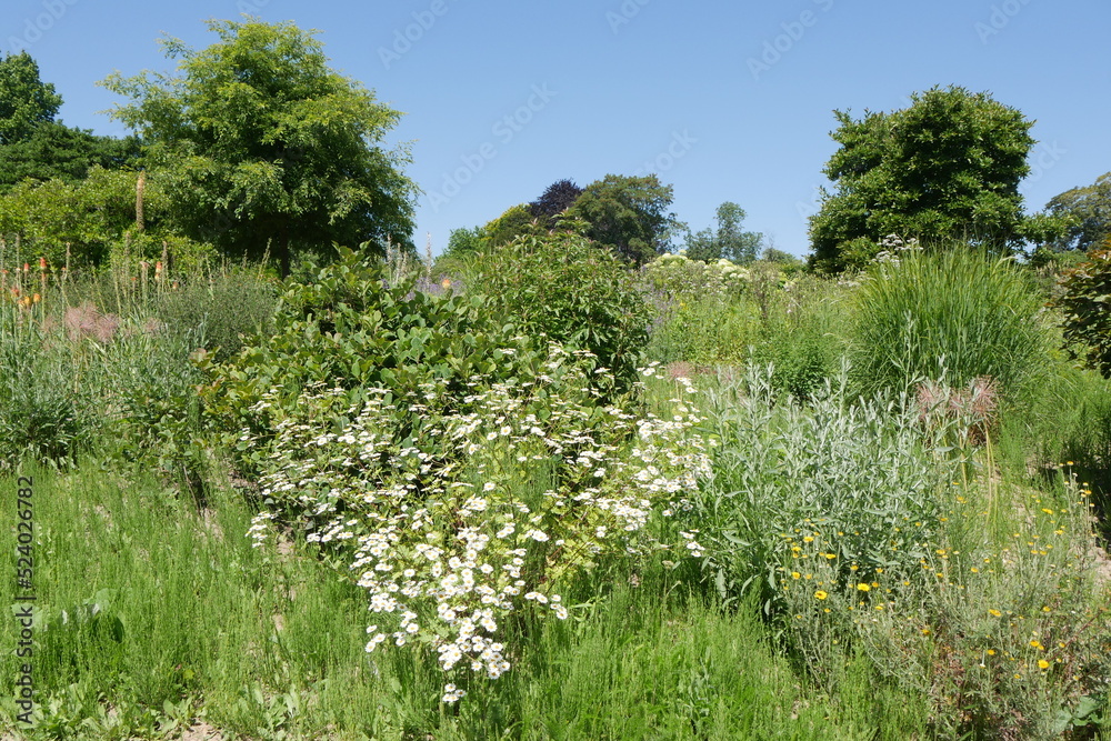 Staudengarten im Grugapark in Essen